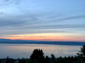 Les Vies en Rose Évian-Les-Bains